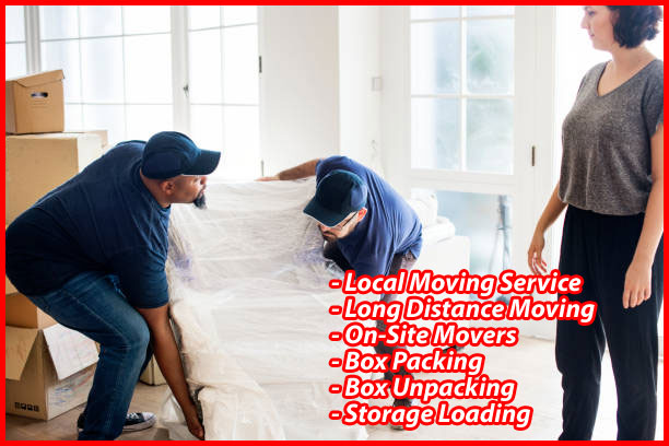 Packers And Movers Noida Sector 144